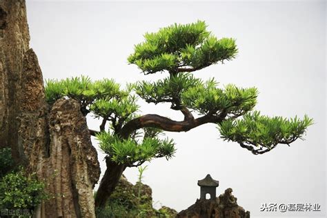 农村坟地风水注意禁忌_农村坟地风水怎么看旺后人,第29张