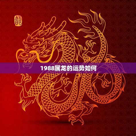 1988年属龙买房最佳楼层和朝向_1988年属龙买房最佳楼层和房号,第7张