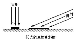 家里养铜钱草有什么风水禁忌_在家养铜钱草有什么讲究,第3张