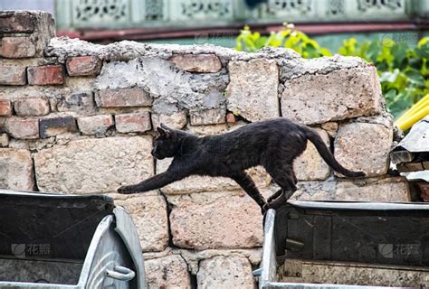 头七鬼魂一般几点回来_头七的禁忌注意事项,第7张 头七鬼魂一般几点回来_头七的禁忌注意事项,第7张