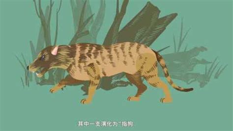 狗来富猫来穷是真的吗_狗来富猪来穷,野猫进家必戴孝,第3张 狗来富猫来穷是真的吗_狗来富猪来穷,野猫进家必戴孝,第3张