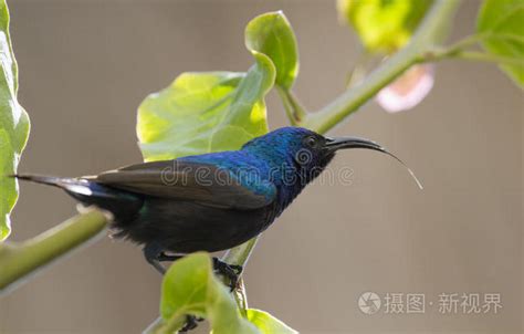 卧室颜色风水学_卧室颜色风水十大禁忌,第19张