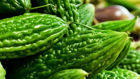 三伏天从什么时候开始至结束_2022年三伏天从什么时候开始至结束,第15张 三伏天从什么时候开始至结束_2022年三伏天从什么时候开始至结束,第15张