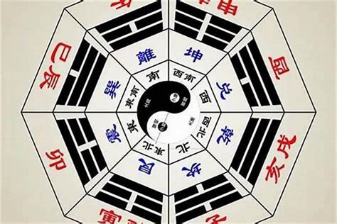 养龟养几只吉利_养龟养几只吉利风水,第12张