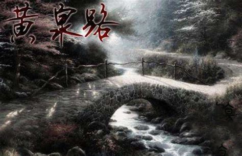 狗突然离世是挡灾_听说宠物的突然死亡是帮主人挡灾,第11张 狗突然离世是挡灾_听说宠物的突然死亡是帮主人挡灾,第11张