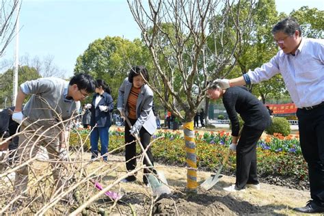 坟上不长草后代必出什么人_坟上不长草后代必出是凶还是吉,第17张