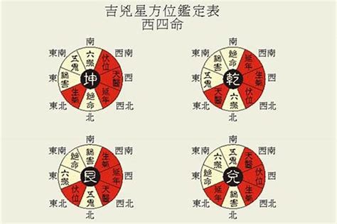 家里有蝙蝠飞进来是什么兆头_家里有蝙蝠飞进来是什么兆头怎么办,第3张