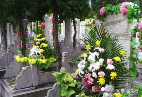 清明节不能做的25件事_清明节不能做的25件事清明节能看病吗,第52张 清明节不能做的25件事_清明节不能做的25件事清明节能看病吗,第52张