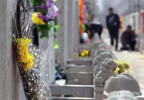 清明节不能做的25件事_清明节不能做的25件事清明节能看病吗,第53张 清明节不能做的25件事_清明节不能做的25件事清明节能看病吗,第53张