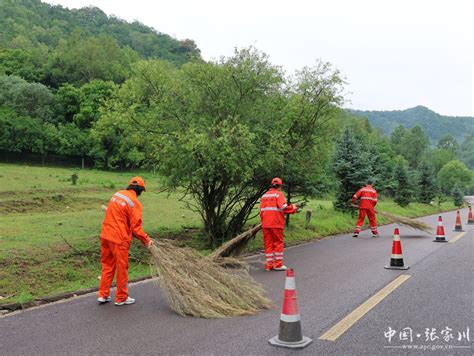 桂花树栽几棵为吉利_院前栽几棵桂花树吉利,第4张 桂花树栽几棵为吉利_院前栽几棵桂花树吉利,第4张