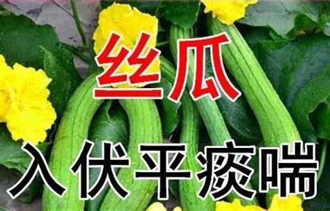 三伏天从什么时候开始至结束_2022年三伏天从什么时候开始至结束,第16张