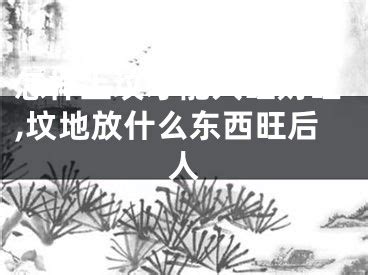 坟墓前最怕放什么东西_坟墓前放什么东西旺后人,第15张