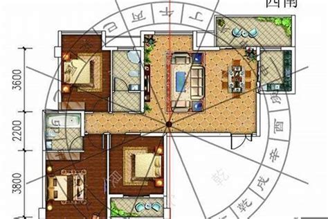 家里进壁虎的真正预兆_守住家财逃避灾祸(吉利象征),第22张