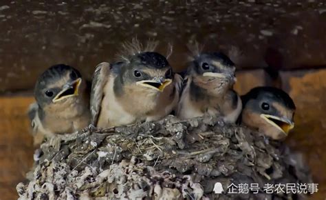 越住越富的六种房子图片_越住越富的六种房子主要还是勤劳致富吧,第13张