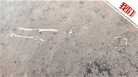 墓地风水学入门图解_墓地风水100例图解,第18张 墓地风水学入门图解_墓地风水100例图解,第18张