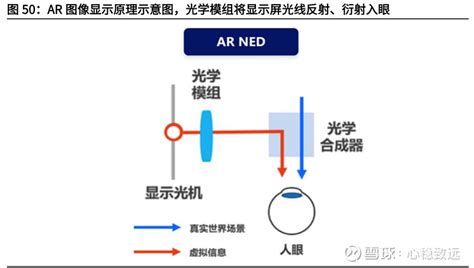 家里有蝙蝠飞进来是什么兆头_家里有蝙蝠飞进来是什么兆头怎么办,第4张