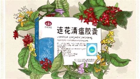 滴水观音植物能放在家里吗_滴水观音植物怎么养,第7张