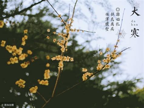 今日大寒_今日大寒图片,第8张 今日大寒_今日大寒图片,第8张