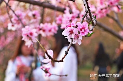 风水鱼缸_风水鱼缸放在客厅什么位置最好,第5张