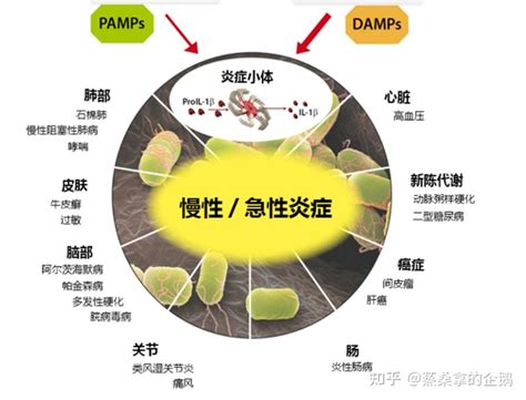 女性佩戴星月菩提功效与作用_星月菩提佩戴禁忌,第14张