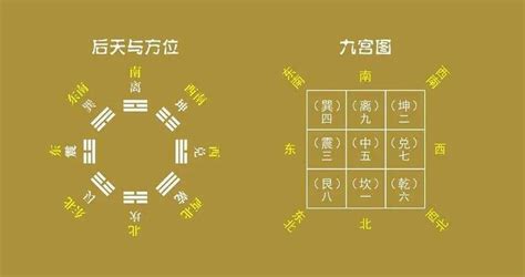 办公室风水植物盆栽_办公室风水植物方位摆设,第26张