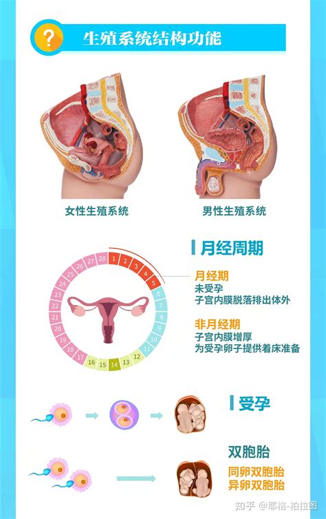 石榴石的功效与作用_石榴石的功效与作用佩戴禁忌,第5张