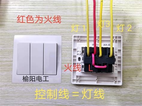 蝙蝠飞到家里是什么征兆_蝙蝠飞到家里是什么征兆怎么办,第12张