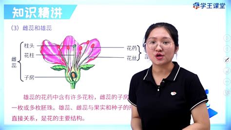 竹子开花意味着什么_风水学竹子开花意味着什么,第6张