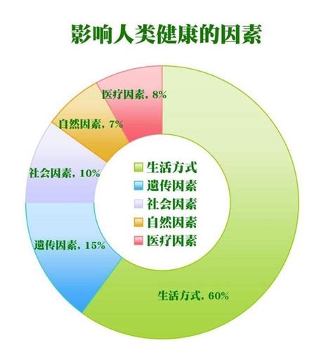 客厅摆放什么仿真花最吉利_客厅摆放仿真花什么花最好,第7张