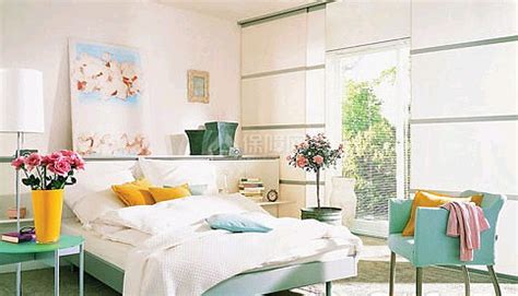 客厅最旺宅的大型植物散尾葵好还是幸福树好_客厅最旺宅的大型植物天堂鸟,第17张 客厅最旺宅的大型植物散尾葵好还是幸福树好_客厅最旺宅的大型植物天堂鸟,第17张