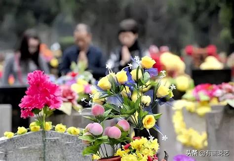 清明节送什么花去墓地_清明节送什么花去墓地放多少朵,第16张