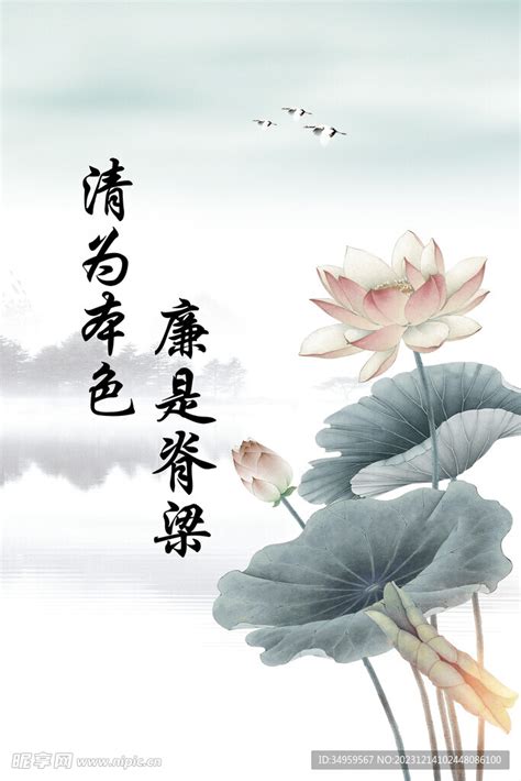 家里阳台适合养什么植物风水好_风水学在家阳台种什么植物好,第5张 家里阳台适合养什么植物风水好_风水学在家阳台种什么植物好,第5张