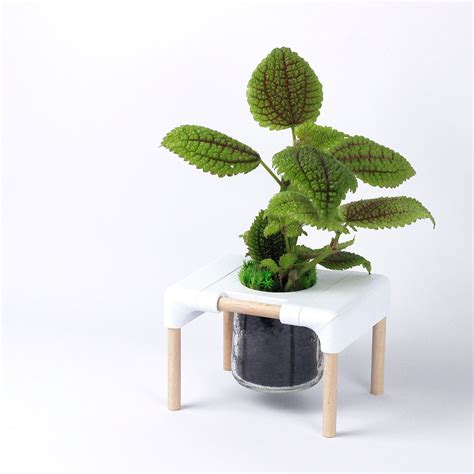 办公室没有阳光风水如何化解_办公室长年不见阳光怎么化解,第15张 办公室没有阳光风水如何化解_办公室长年不见阳光怎么化解,第15张