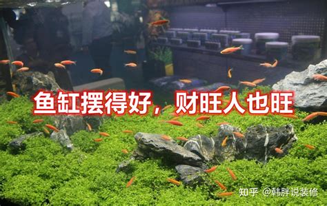 风水鱼缸摆放旺财位置_鱼缸旺财的正确摆放位置,第15张