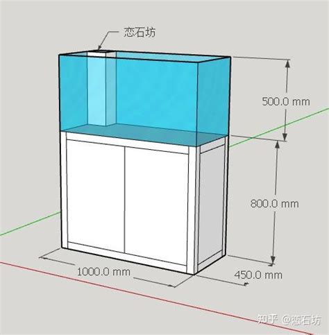 养鱼风水讲究_养鱼风水让你财运有余,第8张