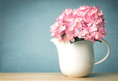 办公室绿植寓意好的有哪些_办公室绿植摆放位置风水最好,第23张 办公室绿植寓意好的有哪些_办公室绿植摆放位置风水最好,第23张