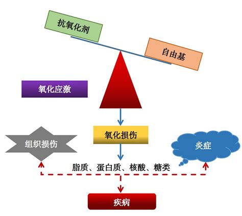 带了金子为什么运气会好_带了金子可以带银吗,第6张