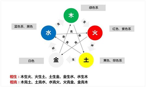 家居风水植物_家里种植什么植物对风水最好,第7张