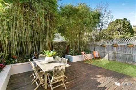 竹子的寓意和象征_竹子的寓意和象征风水,第6张 竹子的寓意和象征_竹子的寓意和象征风水,第6张