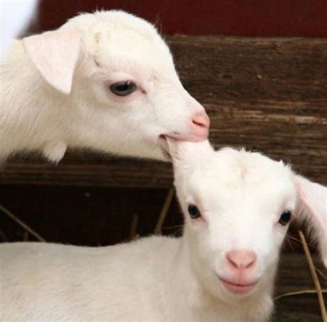 打牌手气不好如何转运_打牌手气不好如何转运风水,第16张 打牌手气不好如何转运_打牌手气不好如何转运风水,第16张