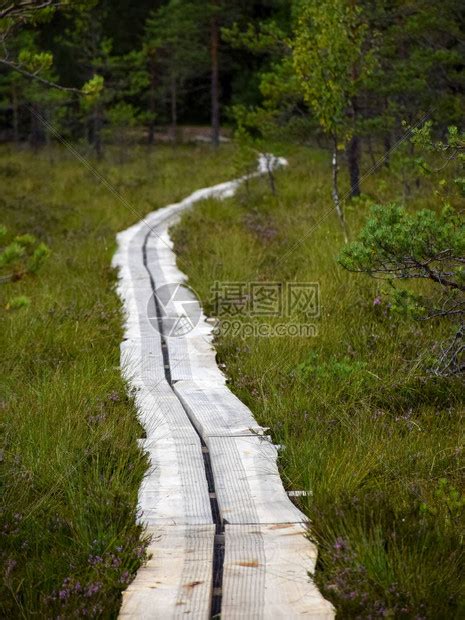 公墓风水的选择要点_公墓怎么选位置风水好,第7张