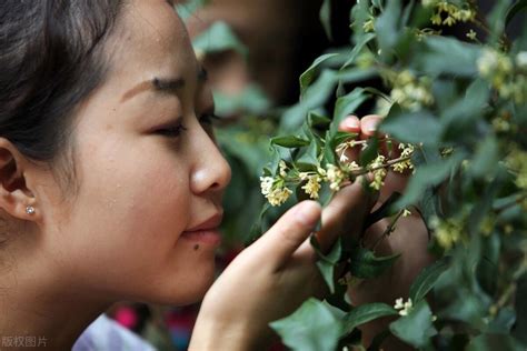 女人打胎后的风水忌讳_女人打胎后的风水忌讳有哪些,第7张