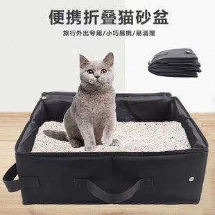 自从养了猫运气就一直不好为什么_自从养了猫运气特别差,第10张