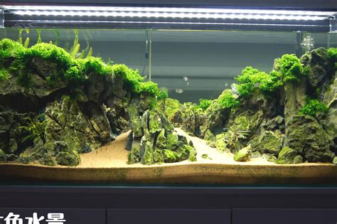 领导办公室风水摆件前十名_办公室风水摆件禁忌,第7张 领导办公室风水摆件前十名_办公室风水摆件禁忌,第7张