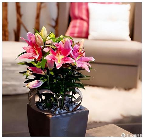 农村住宅风水100条禁忌_农村住宅风水知识大全,第13张 农村住宅风水100条禁忌_农村住宅风水知识大全,第13张