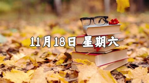 11月领证的好日子_11月领证黄道吉日查询2023年,第10张 11月领证的好日子_11月领证黄道吉日查询2023年,第10张