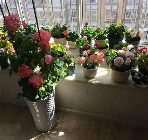 新婚房布置风水禁忌是什么_新婚房布置有什么讲究,第16张 新婚房布置风水禁忌是什么_新婚房布置有什么讲究,第16张