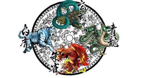 家居风水布局图_家居风水布局增加财运,第22张 家居风水布局图_家居风水布局增加财运,第22张