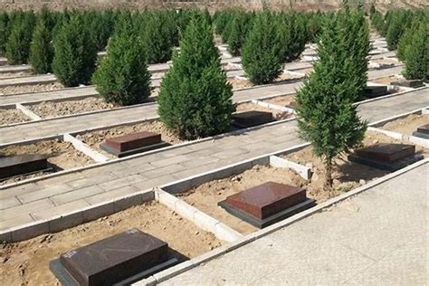 祖坟风水_祖坟风水影响几代,第9张 祖坟风水_祖坟风水影响几代,第9张