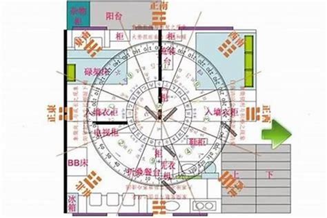 富贵竹放哪里最旺财_富贵竹放哪里好风水,第9张